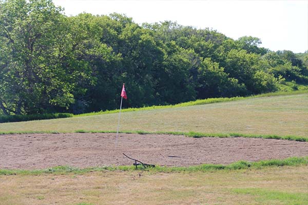 Shamrock Regional Park - Activities and Facilities - Golfing